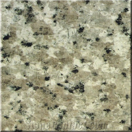 Gastrodia White Granite 
