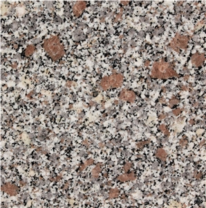 Ghiandone Granite Tile
