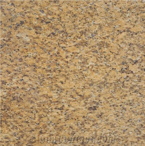 Giallo Antico Granite Gold Granite Stonecontact Com