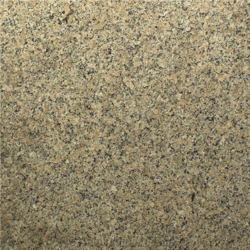 Giallo Latina Granite 