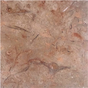 Gold Africa Marble