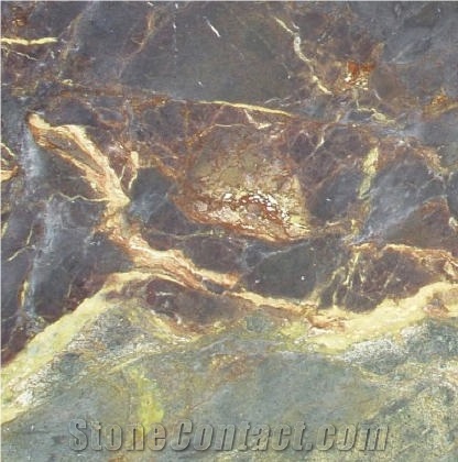 Golden Musk Quartzite Tile