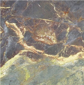 Golden Musk Quartzite Tile