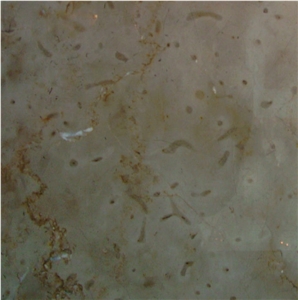 Gotic Mory Limestone