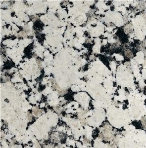 Gran Gris Granite Slabs, Spain Grey Granite