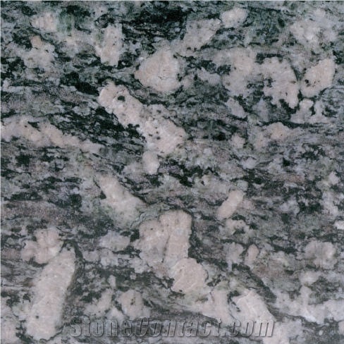 Green Yongchun Granite 
