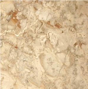 Gregorio Impala Red Vein