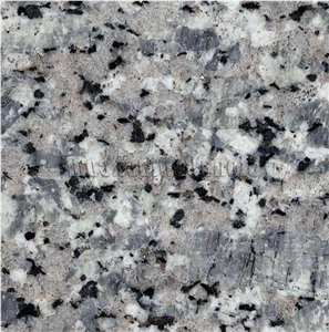 Grey Flower Granite