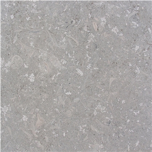 Grigio Alpi Limestone Tile