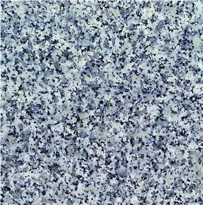 Grigio Perla Granite