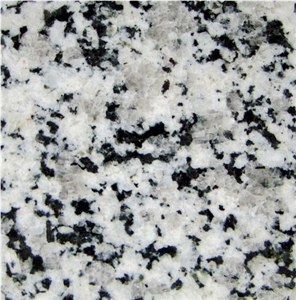 Grigio Sardo Granite Tile