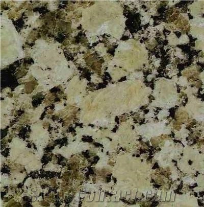 Gris Conquistador Granite Slabs & Tiles