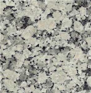 Gris Conquistador