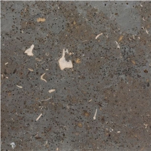 Gris de Catalan Limestone