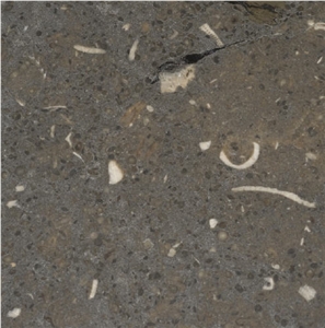 Gris de Catalan Limestone