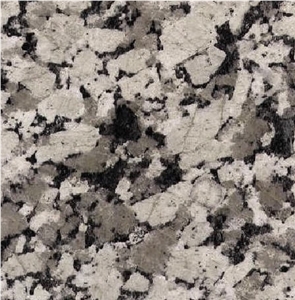 Gris Extremadura Granite Slabs & Tiles