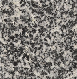 Gris Fino