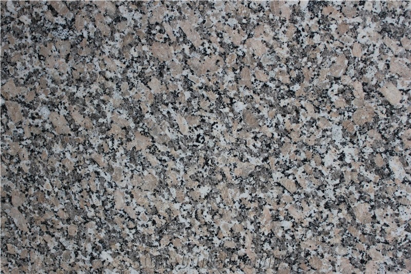 Gris Mondariz Granite Slab