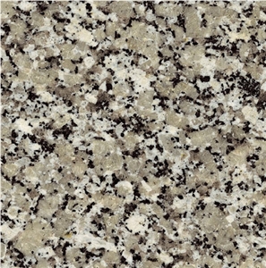 Gris Perla Granite