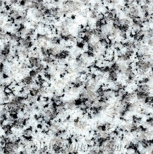 Gris Salvaje Granite 