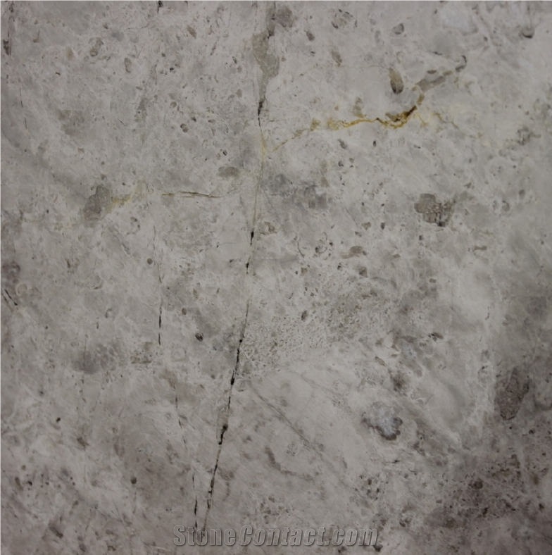 Imperial Silver Marble Tile