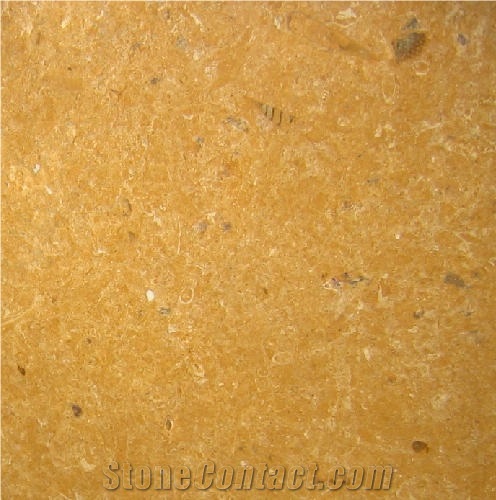 Indus Gold Limestone Slabs, Pakistan Yellow Limestone