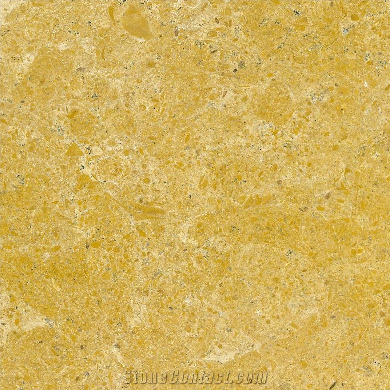 Indus Gold Marble 
