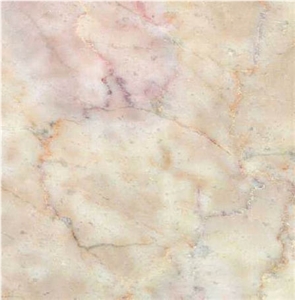 Ivory Rosa