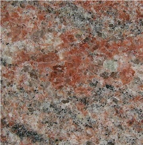 Jacaranda Granite