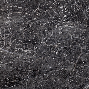 Jaguar Marble