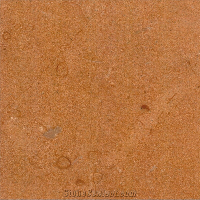 Jaisalmer Fossil Limestone 