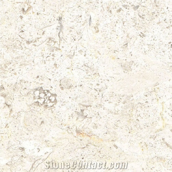 Jerusalem White Limestone 