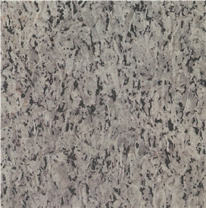 Jinsui Grey Grain Granite