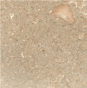 Kappelshamn Limestone