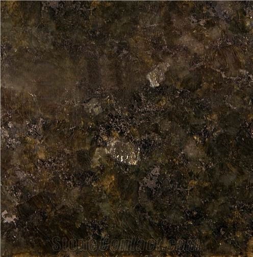 Labrador Gold Black Granite 
