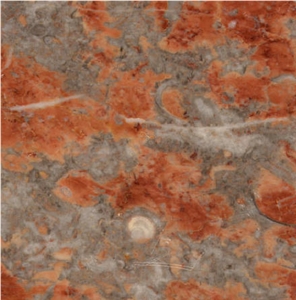 Languedoc Marble Tile