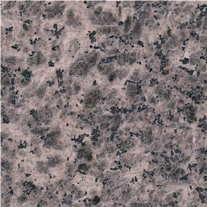 Leopard Flower Granite