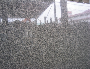 Leopard Skin Granite