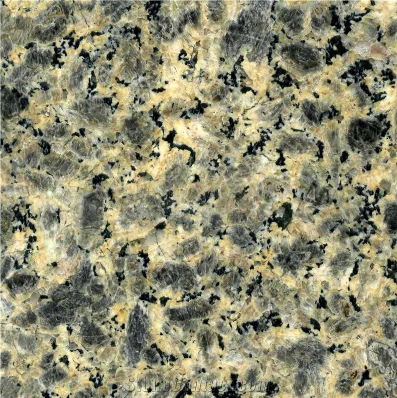 Leopard Skin Granite 