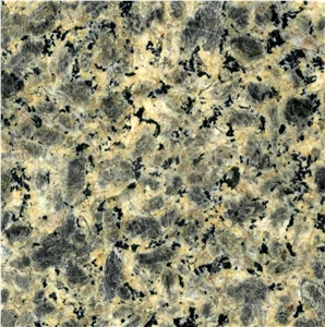 Leopard Skin Granite