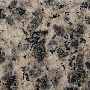 Leopard Skin Granite