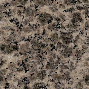 Leopard Skin Granite