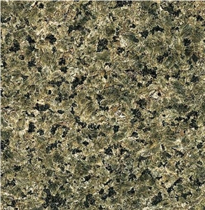 Leopard Skin Granite
