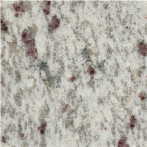 Leopard White Granite