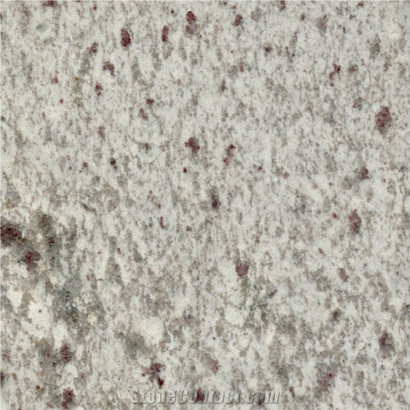 Leopard White Granite Tile