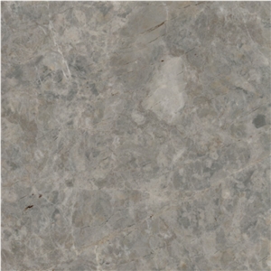 Lida New Gray Marble