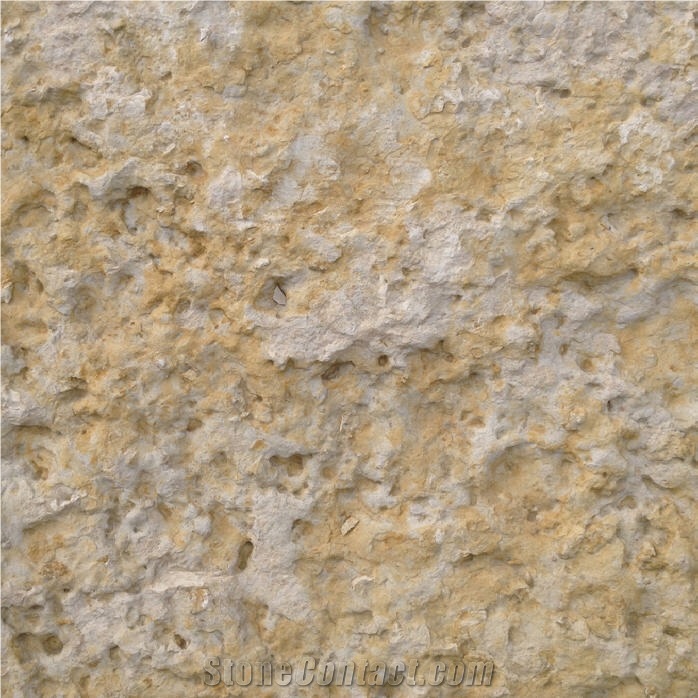 Lueders Limestone 