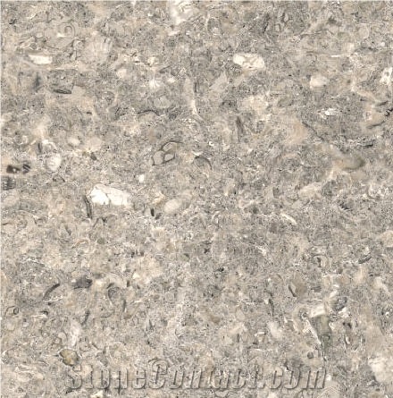 Maegenwiler Muschelkalk Blaugrau - Grey Limestone - StoneContact.com