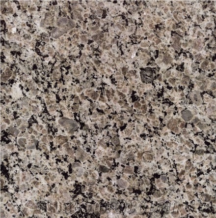 Marrom Graphite Granite 