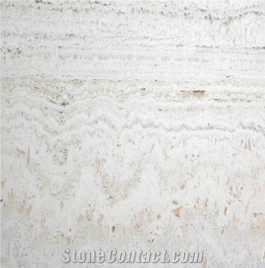 Medium White Travertine